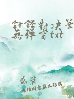 针锋对决笔趣阁无弹窗txt