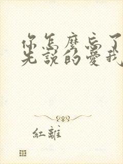 你怎么忘了是你先说的爱我是什么歌