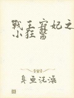 战王宠妃之倾世小狂医