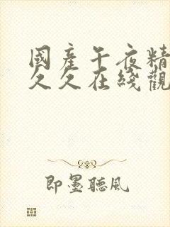 国产午夜精品久久久在线观看