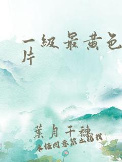 一级最黄色生活片