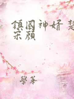 镇国神婿 楚尘宋颜