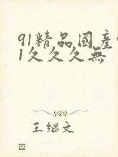 91精品国产91久久久无