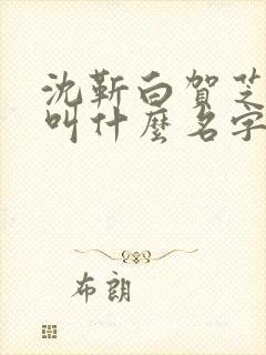 沈靳白贺芝小说叫什么名字啊