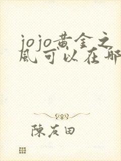 jojo黄金之风可以在哪里看