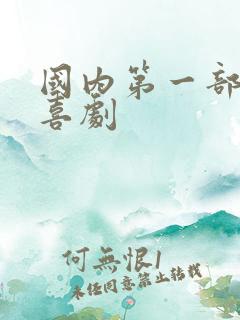 国内第一部情景喜剧