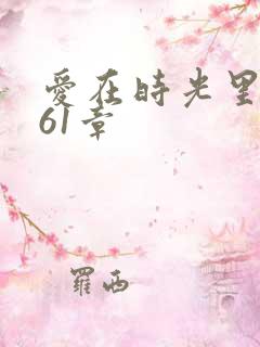 爱在时光里流转61章