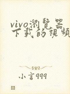 vivo浏览器下载的视频在哪个文件夹