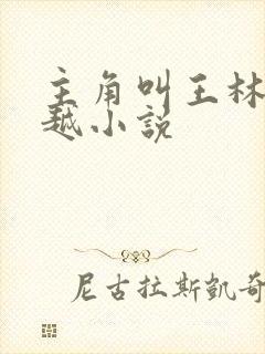 主角叫王林的穿越小说