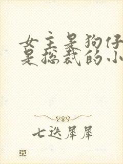 女主是狗仔男主是总裁的小说