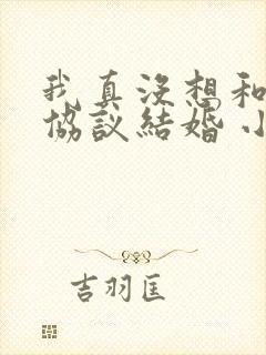 我真没想和大佬协议结婚 小说