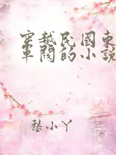 穿越民国东北当军阀的小说