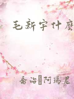 毛新宇什么级别