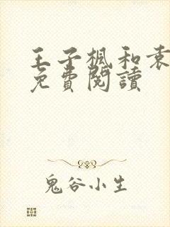 王子枫和袁雯洁免费阅读