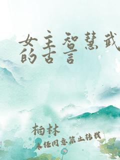 女主智慧武功高的古言