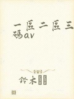 一区二区三区乱码av