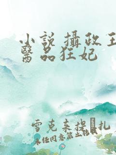 小说 摄政王的医品狂妃