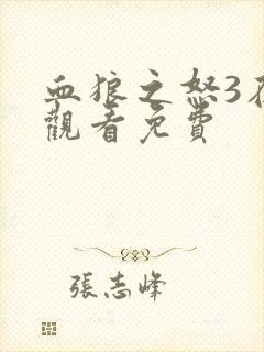 血狼之怒3在线观看免费