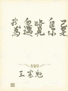 我忽略自己就因为遇见你是什么歌