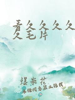 看久久久久久久久毛片