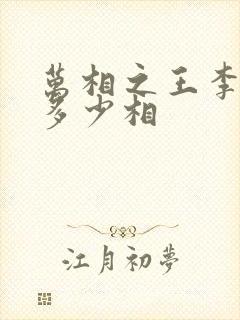 万相之王李洛有多少相