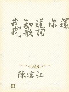 我知道你还爱着我歌词