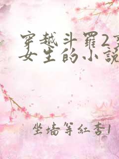 穿越斗罗2变成女生的小说