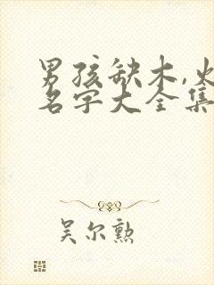 男孩缺木,火的名字大全集