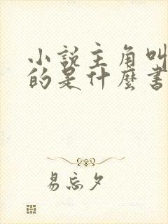 小说主角叫林凡的是什么书