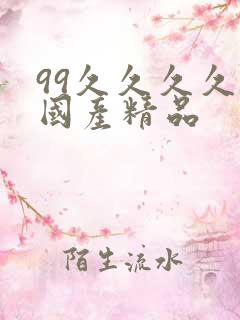 99久久久久久国产精品