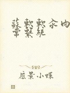 苏软软汆肉的日常系统