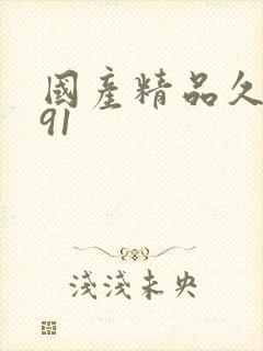 国产精品久久久91