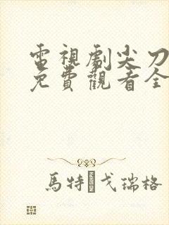 电视剧尖刀战士免费观看全集高清