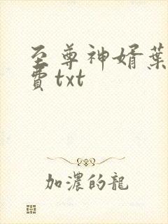 至尊神婿叶昊免费txt