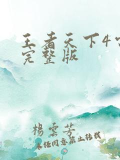 王者天下4电影完整版