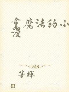 会魔法的小妹动漫