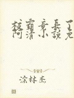 校霸竟长了个批阿清小说免费阅读最