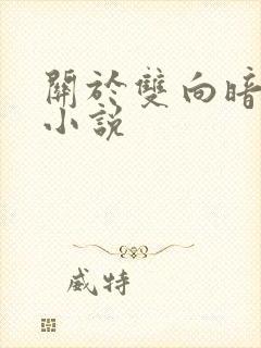 关于双向暗恋的小说