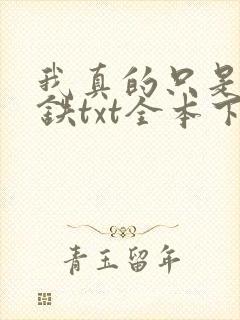 我真的只是想打铁txt全本下载
