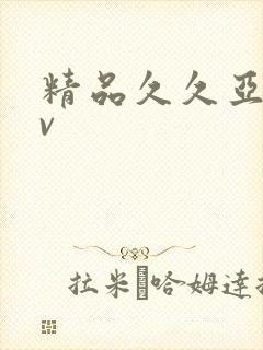 精品久久亚洲av