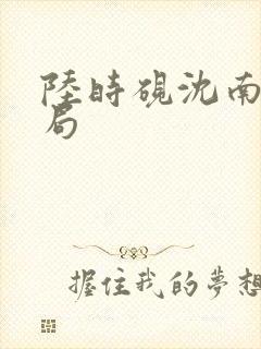 陆时砚沈南初结局
