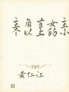 主角有女主20个以上的小说