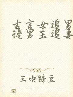 古言女追男放弃后男主追妻火葬场