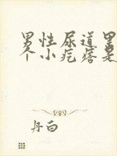 男性尿道里面有个小疙瘩是怎么回事