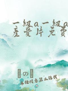 一级a一级a国产爱片免费