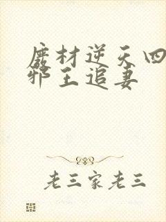 废材逆天四小姐邪王追妻