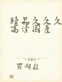 精品久久久久久高清国产