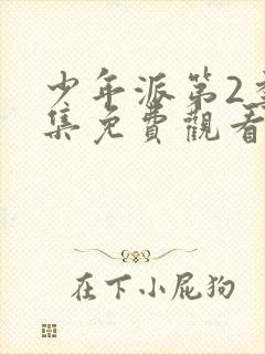 少年派第2季全集免费观看