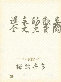 迟来的欢喜小说全文免费阅读