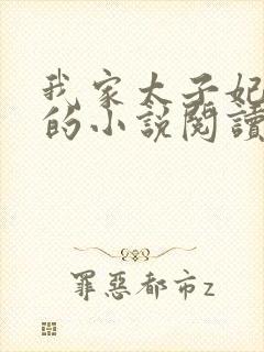 我家太子妃超凶的小说阅读全文